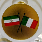 نشان سنجاق سینه NILOO