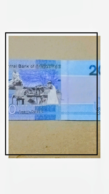 اسکناس تک زیبای کشور گامبیا کمیاب و سوپر بانکی