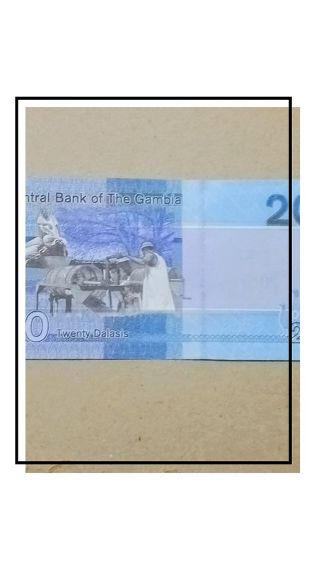 اسکناس تک زیبای کشور گامبیا کمیاب و سوپر بانکی