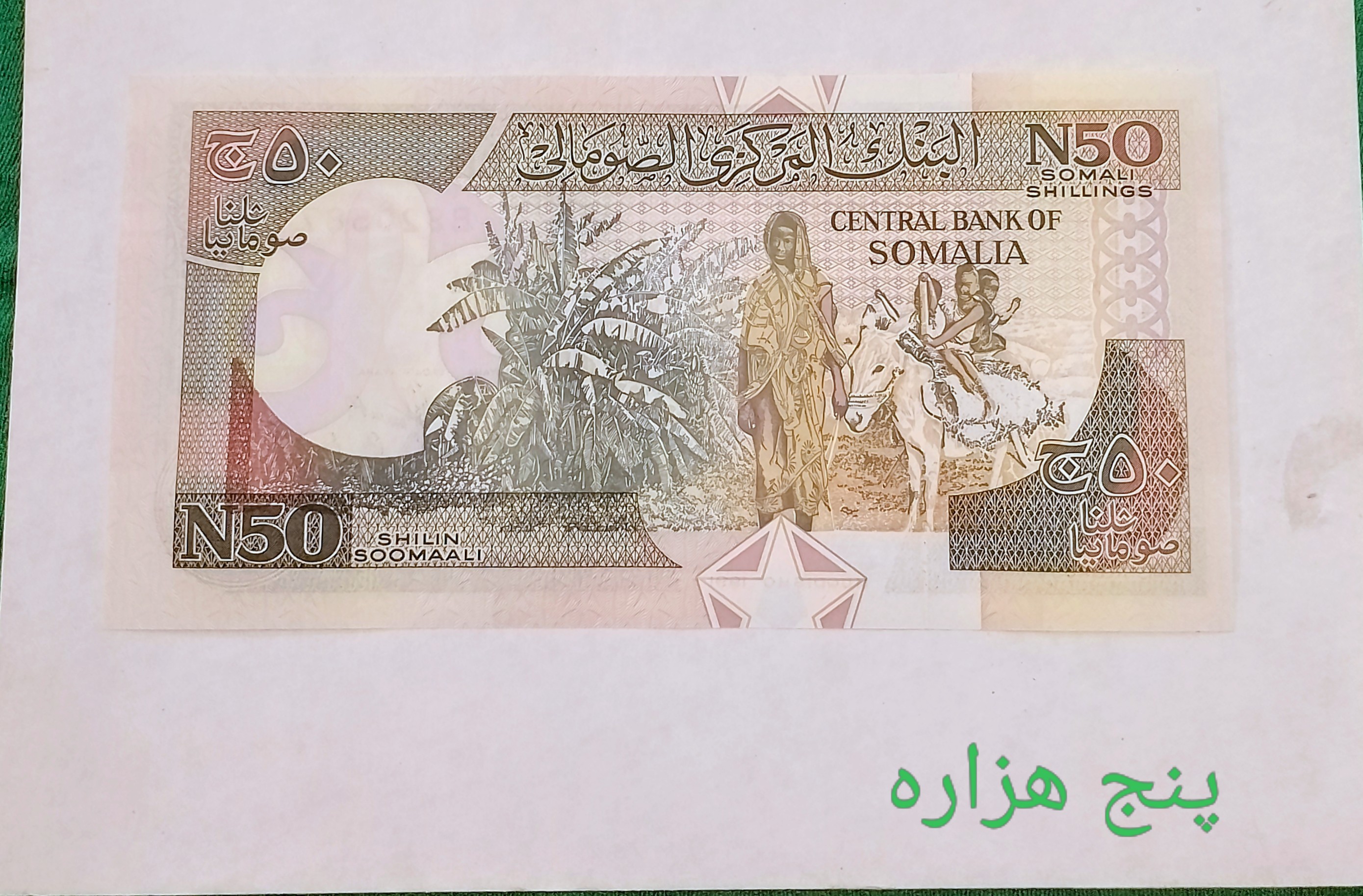 اسکناس تک ۵۰ شیلینگ سومالی سوپر بانکی